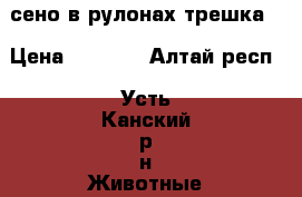 сено в рулонах трешка  › Цена ­ 1 500 - Алтай респ., Усть-Канский р-н Животные и растения » Другие животные   . Алтай респ.